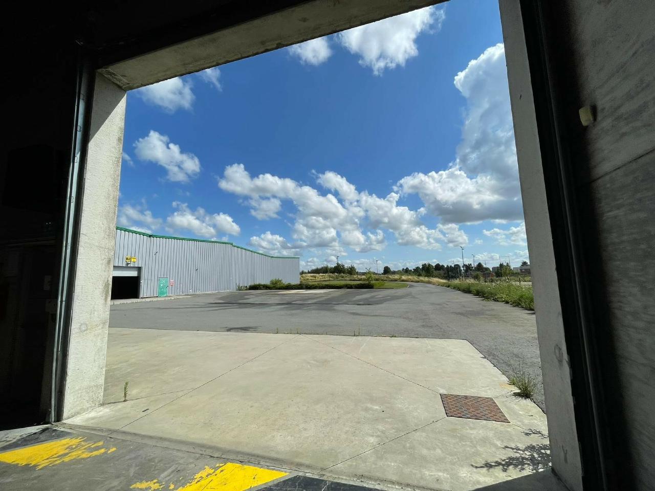 Local d'activité Cysoing 1000m² Vente local d'activité Cysoing Nord OVACT2315542 3